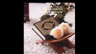 سوره المرسلات القارئ عبد الرحمن مسعد دندنها