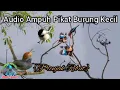 Download Lagu Mp3 prenjak ribut