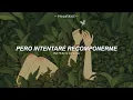 Cicada - Good Kid (Sub Español + Lyrics)