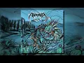 Download Lagu ARMADA - Axolotl (Full Album)