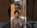 Download Lagu 🥷Most Powerful Special Forces in the world // Sri info (Tamil)