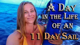A Day in the Life of an 11 Day Sail!