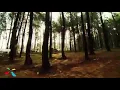 KH. Abdul Aziz S.pd I (Pengasuh Ponpes Al Burdah Bandung) Ya Rosulalloh New Album 2017