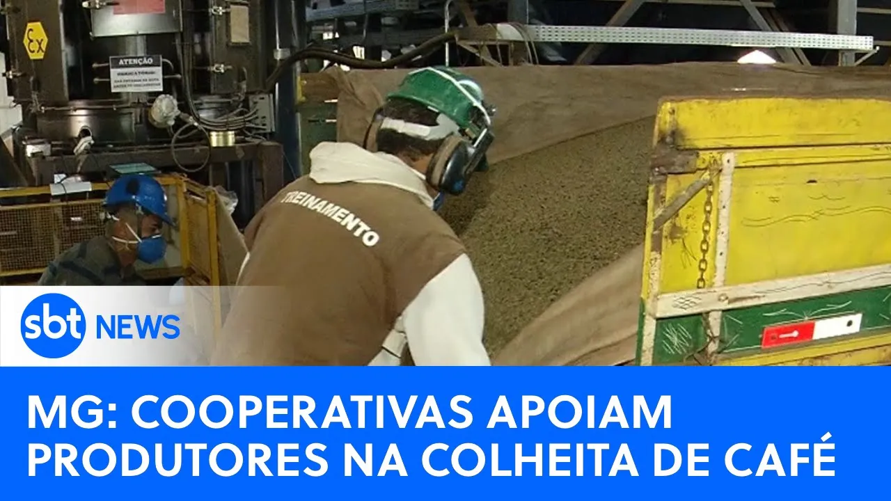 MG: Cooperativas apoiam produtores rurais durante a colheita de café | #SBTNewsnaTV (03/07/23)