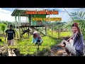 Download Lagu KESAWAH DAN BURU IKAN, SPOT PARIT YANG MASIH PERAWAN