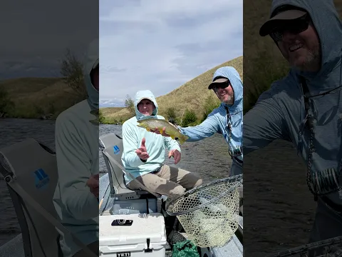 Fly Fishing in Montana - James Taylor