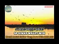 Suara Ini Untuk Kalian Yang Baru Bikin Gedung Walet‼️SP Sinar Walet Mix @BerkatWaletOfficial