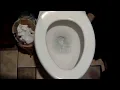 My Aunt's House Restroom Full Shoot ( March 13, 2020 Video)