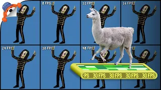 Comparando FPS con Paco y Huaco | TobiAnimados