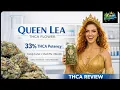 Queen Lea Thca Small Buds Review Candy Cartel X Sherb Pie X Biscotti