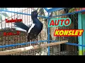 Download Lagu AUTO KONSLET !! KACER GACOR TEMBAKAN KASAR BIKIN KACER LAIN EMOSI DAN GACOR !!