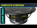 RCF LF12G301 Powerful 12-inch Pro Punch