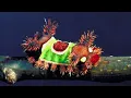 Download Lagu Puppy-Face Saddleback Caterpillar - Dier van de Week