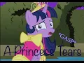 4 A PRINCESS TEARS Part 1 AN MLP COMIC DUB Canterlot comic