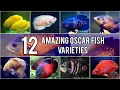 TOP 12 - Amazing Oscar Fish Varieties s