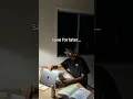 GAMIFY your after-school study grind