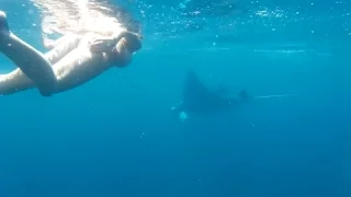 Sailing into freedom Episode 80 Nerma and the manta ray