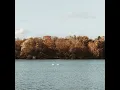 Нiч яка - Rovsen