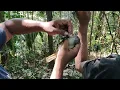Download Lagu KAPAS TEMBAK HUTAN SUMATRA BODY BIG MENDARAT DI JARING PIKAT Part 1