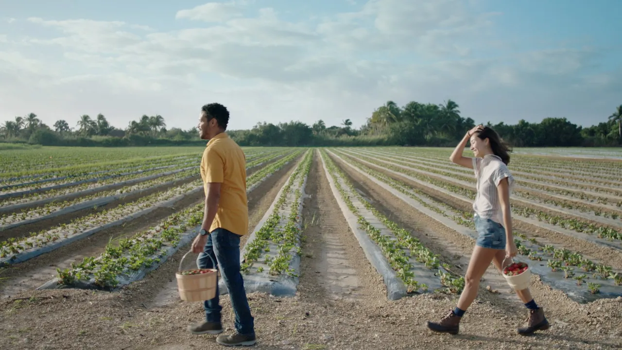 Redland la: Peyi Miami a
