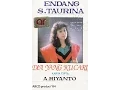 Download Lagu Aduh Abang Aduh Sayang ~ Endang S  Taurina