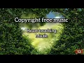 ♡ touching Music|| copyright free music for Content creators || forest over view look