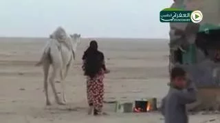 شيلة مل قلب تتله بالمحبه مضاوي دندنها