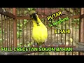 Download Lagu SUARA CRECETAN SOGON BAHAN || pancingan sogok ontong