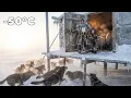 Lagu Woman Saves Her Sheep from a Wolf Pack | Yakutia Survival
