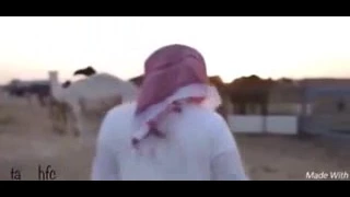 هذا المساء ماهو معدي على خير منيف الخمشي 