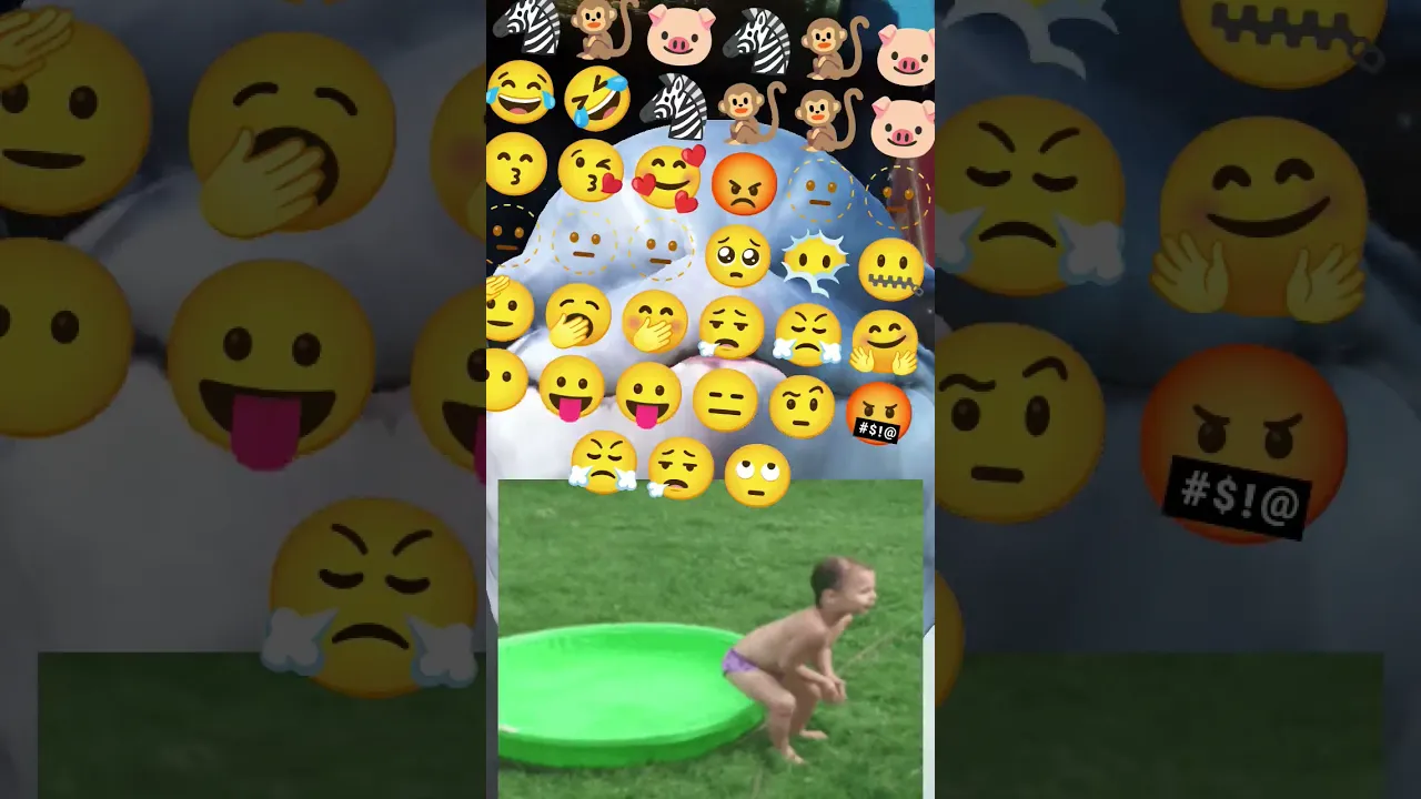 funny video