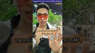 อาหารอะไรบ้างที่มีคุณสมบัติต้านมะเร็ง โดยเฉพาะมะเร็งลำไส้  และทำไมจึงมีผลดังนั้น