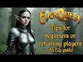 Everquest - Tips for beginners or returning players An EQ1 guide