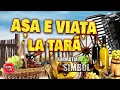 Download Lagu PETRECERE - AŞA E VIAŢA LA ŢARĂ - FORMAŢIA SIMBOL
