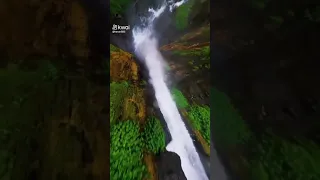 النجمه شفيقه كنت فين    دندنها
