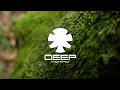 Aaron Hibell, Felsmann + Tiley - Levitation