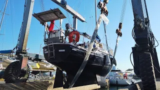 Back to the SEA! | Wildlings Sailing