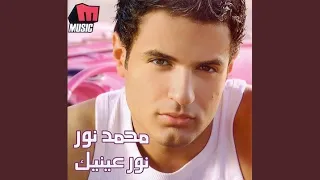                      دندنها