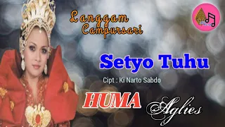 setyo tuhu huma aglies pt aglies jaya record