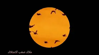 سياتي الضياء برغم الغيوم  دندنها