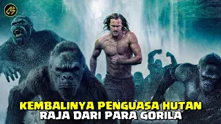 the great war between animals and humans a movie recap of the legend of tarzan 2016