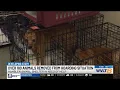 Morristown Hamblen Humane Society asks for help after receiving over 180 animals taken from home
