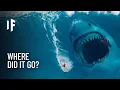 What If the Megalodon Shark Never Went Extinct