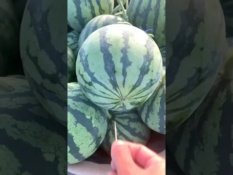 Break the watermelon with a toothpick 😱 #lifehack