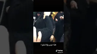 هذا عرس ولا شنو طركاعه مو ملايه  هذا عرس ولا شنو طركاعه مو ملايه