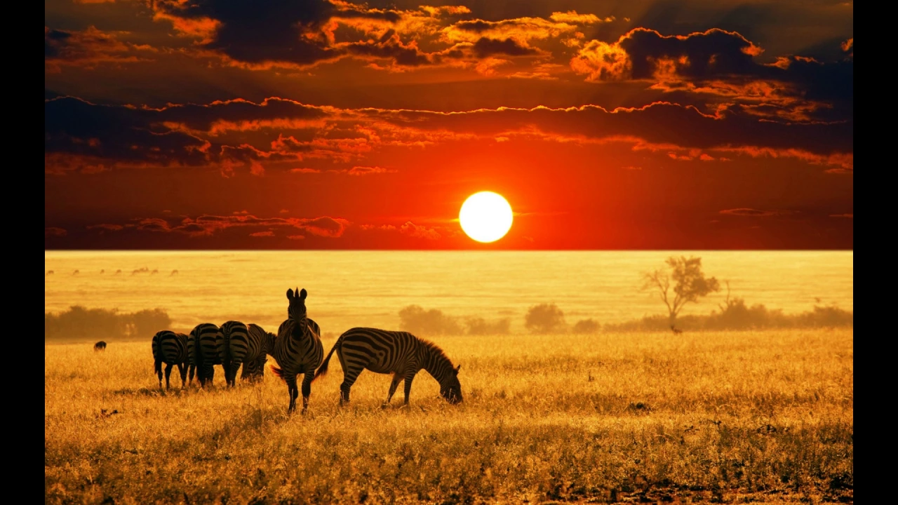 Mobi Dixon Feat Msaki - Love Colour Spin (Infinite Boys Remix)