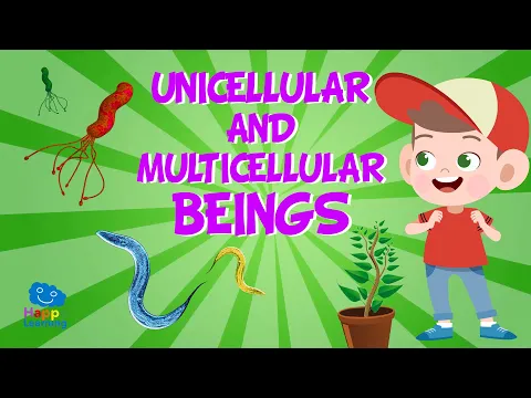 Download MP3 Unicellular and Multicellular beings 🧬🧫 | Educational Videos For Kids