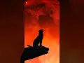 Download Lagu Wolf howling sounds (Howling at the Moon)