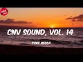 Lagu Pure Negga - Cnv Sound, Vol. 14 (Letra/Lyrics)