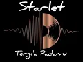 Download Lagu #musik Tergila Padamu - STARLET